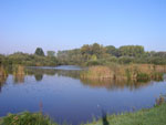 marais d'hecquet- Camon-Somme