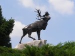 caribou à Beaumont-Hamel, mémorial de Terre-Neuve