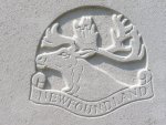 emblème de régiment sur une tombe de terre-Neuve
