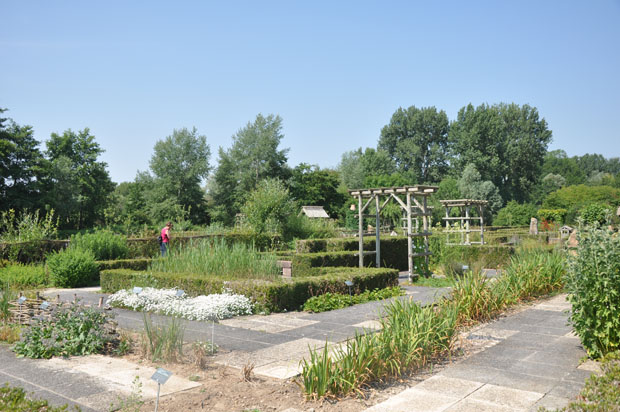 Samara jardin botanique