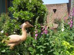 flowered yard bed and brekfast  Amiens Métropole Somme